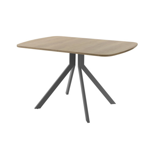 Обеденный стол AMC Elite (серии SLIM) / E18(1100) D2 (графит/Дуб Небраска Натуральный)