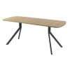 Обеденный стол AMC Elite (серии SLIM) / E18(1200) D2 (графит/Дуб Небраска Натуральный)