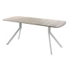 Обеденный стол AMC Elite (серии SLIM) / E18(1100) D2 (серебро/Дуб Уайт-Ривер песочно-бежевый)