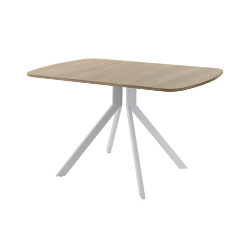 Обеденный стол AMC Elite (серии SLIM) / E18(1100) D2 (серебро/Дуб Небраска Натуральный)