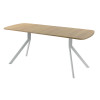 Обеденный стол AMC Elite (серии SLIM) / E18(1100) D2 (серебро/Дуб Небраска Натуральный)