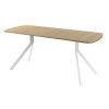 Обеденный стол AMC Elite (серии SLIM) / E18(1100) D2 (белый/Дуб Небраска Натуральный)
