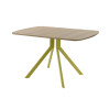 Обеденный стол AMC Elite (серии SLIM) / E18(1100) D2 (золото/Дуб Небраска Натуральный)