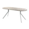 Обеденный стол AMC Elite (серии SLIM) / E18(1100) D3 (серебро/Дуб Уайт-Ривер песочно-бежевый)