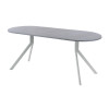 Обеденный стол AMC Elite (серии SLIM) / E18(1100) D3 (серебро/Бетон Чикаго светло-серый)