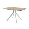 Обеденный стол AMC Elite (серии SLIM) / E18(1100) D6 (серебро/Дуб Небраска Натуральный)