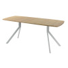 Обеденный стол AMC Elite (серии SLIM) / E18(1100) D6 (серебро/Дуб Небраска Натуральный)