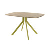Обеденный стол AMC Elite (серии SLIM) / E18(1100) D6 (золото/Дуб Небраска Натуральный)