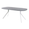 Обеденный стол AMC Elite (серии SLIM) / E18(800) D7 (белый/Бетон Чикаго светло-серый)