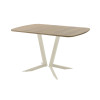 Обеденный стол AMC Elite (серии SLIM) / E19(1100) D2 (бежевый/Дуб Небраска Натуральный)