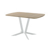 Обеденный стол AMC Elite (серии SLIM) / E19(1100) D2 (серебро/Дуб Небраска Натуральный)
