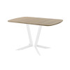 Обеденный стол AMC Elite (серии SLIM) / E19(1200) D2 (белый/Дуб Небраска Натуральный)