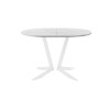 Обеденный стол AMC Elite (серии SLIM) / E19(1100) D3 (белый/Мрамор Кристалл)