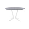 Обеденный стол AMC Elite (серии SLIM) / E19(1100) D3 (белый/Бетон Чикаго светло-серый)