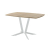 Обеденный стол AMC Elite (серии SLIM) / E19(1100) D6 (серебро/Дуб Небраска Натуральный)