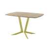 Обеденный стол AMC Elite (серии SLIM) / E19(1100) D6 (золото/Дуб Небраска Натуральный)