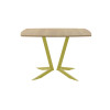 Обеденный стол AMC Elite (серии SLIM) / E19(1100) D6 (золото/Дуб Небраска Натуральный)