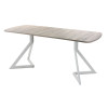 Обеденный стол AMC Elite (серии SLIM) / E20(1100) D2 (серебро/Дуб Уайт-Ривер песочно-бежевый)