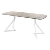 Обеденный стол AMC Elite (серии SLIM) / E20(1200) D2 (белый/Дуб Уайт-Ривер песочно-бежевый)