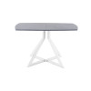 Обеденный стол AMC Elite (серии SLIM) / E20(1200) D2 (белый/Бетон Чикаго светло-серый)