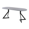 Обеденный стол AMC Elite (серии SLIM) / E20(1100) D3 (черный/Бетон Чикаго светло-серый)