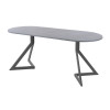Обеденный стол AMC Elite (серии SLIM) / E20(1200) D3 (графит/Бетон Чикаго светло-серый)