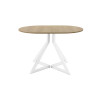 Обеденный стол AMC Elite (серии SLIM) / E20(1200) D3 (белый/Дуб Небраска Натуральный)