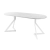 Обеденный стол AMC Elite (серии SLIM) / E20(1100) D3 (белый/Мрамор Кристалл)