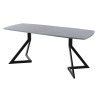 Обеденный стол AMC Elite (серии SLIM) / E20(1200) D6 (черный/Бетон Чикаго светло-серый)