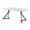 Обеденный стол AMC Elite (серии SLIM) / E20(800) D7 (графит/Мрамор Кристалл)
