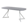 Обеденный стол AMC Elite (серии SLIM) / E20(900) D7 (серебро/Бетон Чикаго светло-серый)