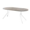 Обеденный стол AMC Elite (серии SLIM) / E21(900) D1 (белый/Дуб Уайт-Ривер песочно-бежевый)