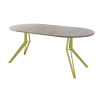 Обеденный стол AMC Elite (серии SLIM) / E21(800) D1 (золото/Дуб Уайт-Ривер песочно-бежевый)