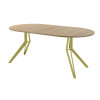 Обеденный стол AMC Elite (серии SLIM) / E21(900) D1 (золото/Дуб Небраска Натуральный)
