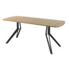 Обеденный стол AMC Elite (серии SLIM) / E21(1200) D2 (черный/Дуб Небраска Натуральный)