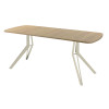 Обеденный стол AMC Elite (серии SLIM) / E21(1100) D2 (бежевый/Дуб Небраска Натуральный)