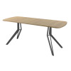Обеденный стол AMC Elite (серии SLIM) / E21(1200) D2 (графит/Дуб Небраска Натуральный)