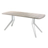 Обеденный стол AMC Elite (серии SLIM) / E21(1200) D2 (серебро/Дуб Уайт-Ривер песочно-бежевый)
