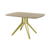 Обеденный стол AMC Elite (серии SLIM) / E21(1200) D2 (золото/Дуб Небраска Натуральный)