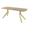 Обеденный стол AMC Elite (серии SLIM) / E21(1200) D2 (золото/Дуб Небраска Натуральный)