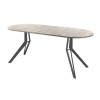 Обеденный стол AMC Elite (серии SLIM) / E21(1100) D3 (графит/Дуб Уайт-Ривер песочно-бежевый)