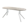 Обеденный стол AMC Elite (серии SLIM) / E21(1100) D3 (серебро/Дуб Уайт-Ривер песочно-бежевый)