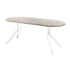 Обеденный стол AMC Elite (серии SLIM) / E21(1100) D3 (белый/Дуб Уайт-Ривер песочно-бежевый)