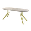 Обеденный стол AMC Elite (серии SLIM) / E21(1100) D3 (золото/Дуб Уайт-Ривер песочно-бежевый)
