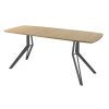 Обеденный стол AMC Elite (серии SLIM) / E21(1200) D6 (графит/Дуб Небраска Натуральный)