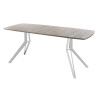 Обеденный стол AMC Elite (серии SLIM) / E21(1200) D6 (серебро/Дуб Уайт-Ривер песочно-бежевый)