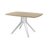 Обеденный стол AMC Elite (серии SLIM) / E21(1100) D6 (серебро/Дуб Небраска Натуральный)