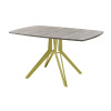 Обеденный стол AMC Elite (серии SLIM) / E21(1100) D6 (золото/Дуб Уайт-Ривер песочно-бежевый)