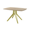 Обеденный стол AMC Elite (серии SLIM) / E21(1100) D6 (золото/Дуб Небраска Натуральный)