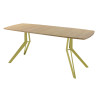 Обеденный стол AMC Elite (серии SLIM) / E21(1100) D6 (золото/Дуб Небраска Натуральный)